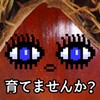 糖心少女vlog免费观看孤独的生日破解版
